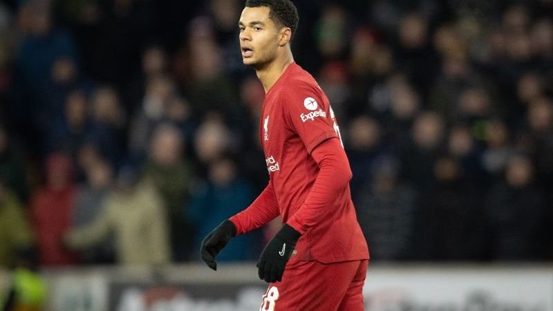 dit-kun-je-verdienen-met-een-doelpunt-van-gakpo-tegen-real-madrid